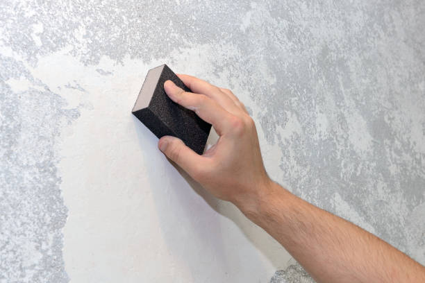 Best Industrial Mold Remediation  in Chaska, MN