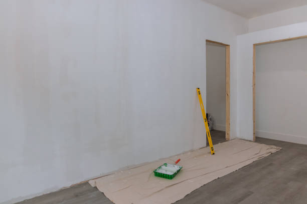  Chaska, MN Mold Removal Pros