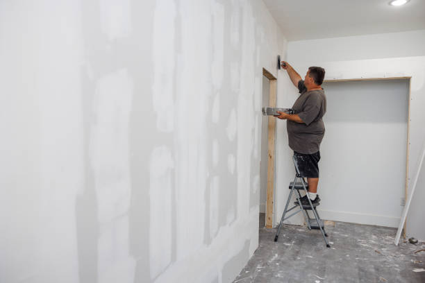 Best Mold-Related Health Consultation  in Chaska, MN