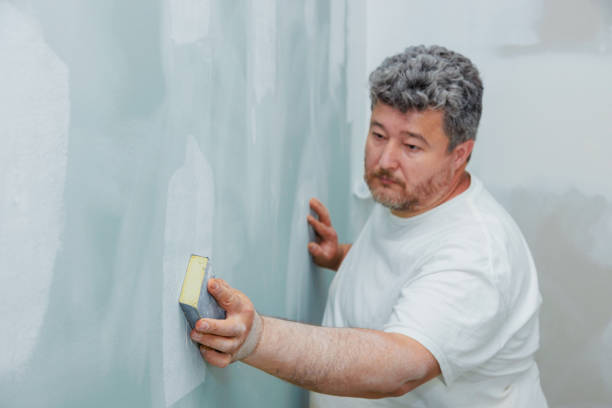 Best Dehumidification Services  in Chaska, MN