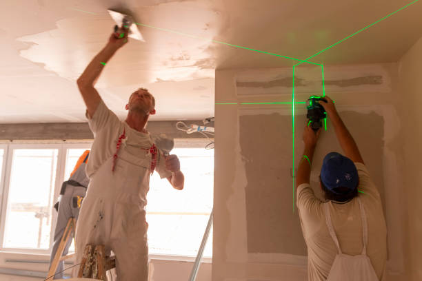 Best Forensic Mold Investigation  in Chaska, MN
