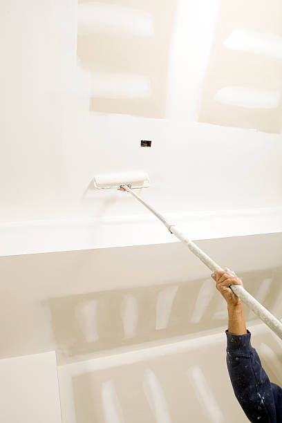 Mold Remediation for Vacation Homes in Chaska, MN