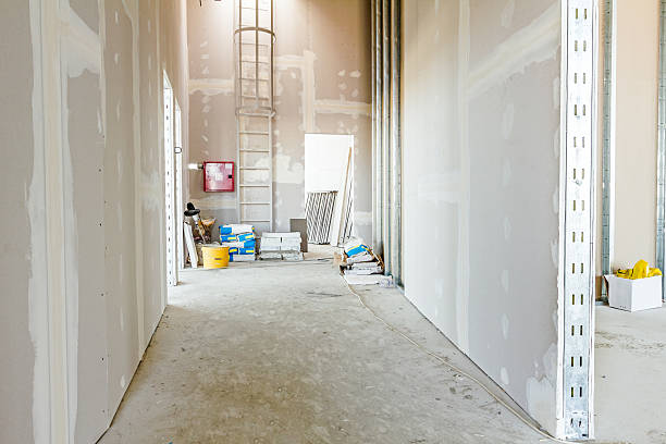 Reliable Chaska, MN Mold Removal Solutions