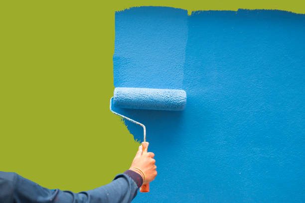 Best Mold Damage Restoration  in Chaska, MN